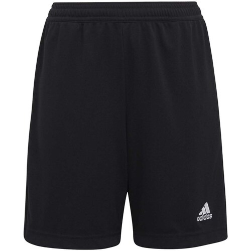 ADIDAS Pantalón Corto Entrenamiento 22 Negro